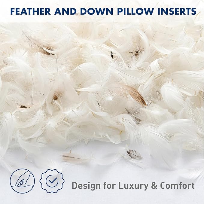 MIULEE Premium Feather and Down 24x24 Throw Pillow Insert Soft Fluffy Throw Pillow Double-Layer Cotton Fabric for Sofa Bed Couch Prevents Feather Leakage