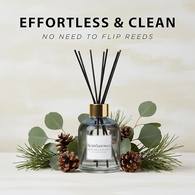 ScentSationals Water-Based Reed Diffuser - White Pine & Eucalyptus - 5 FL OZ Aromatherapy Reed Diffuser