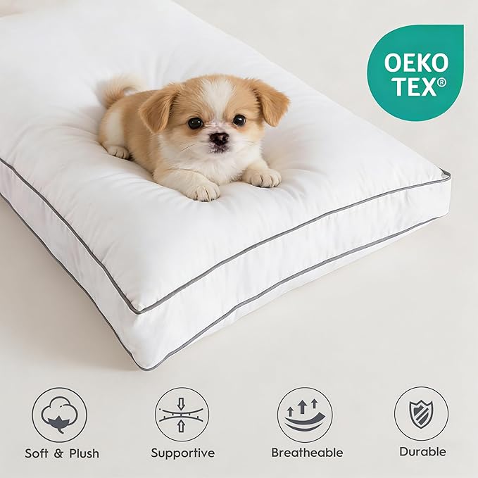 Ubauba Goose Feather Down Fiber Pillows Queen Size Set of 2, Supportive Gusseted Luxury Hotel Pillow, Comfortable Bed Pillow for Sleeping, Cloud-Soft Pillow for Side, Back & Stomach Sleepers, 20x30 in