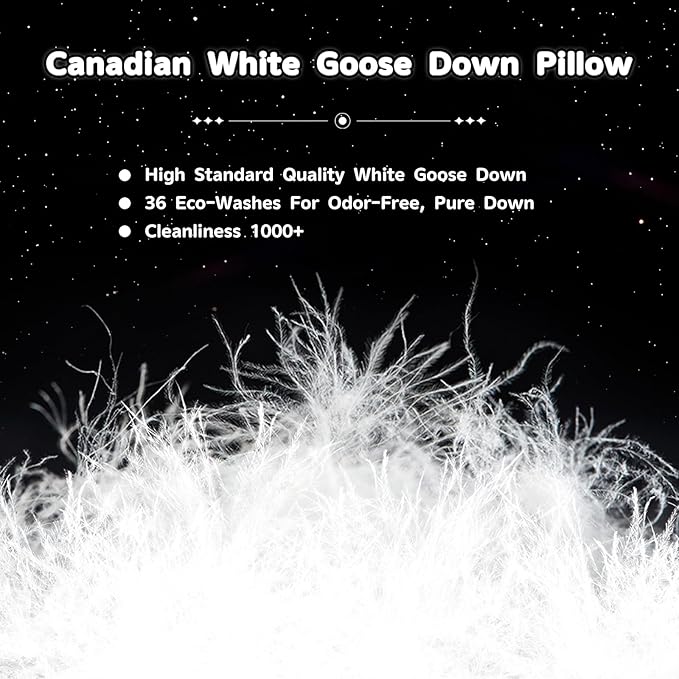 Canadian Goose Down Pillows Queen Size 80% Goose Down and 20% Goose Feathers,1650+ Fill Power White Down Pillow with 800 Thread Count Cotton Shell,Ultra Comfort Bed Pillows(White 20"x30" 1 Pack)