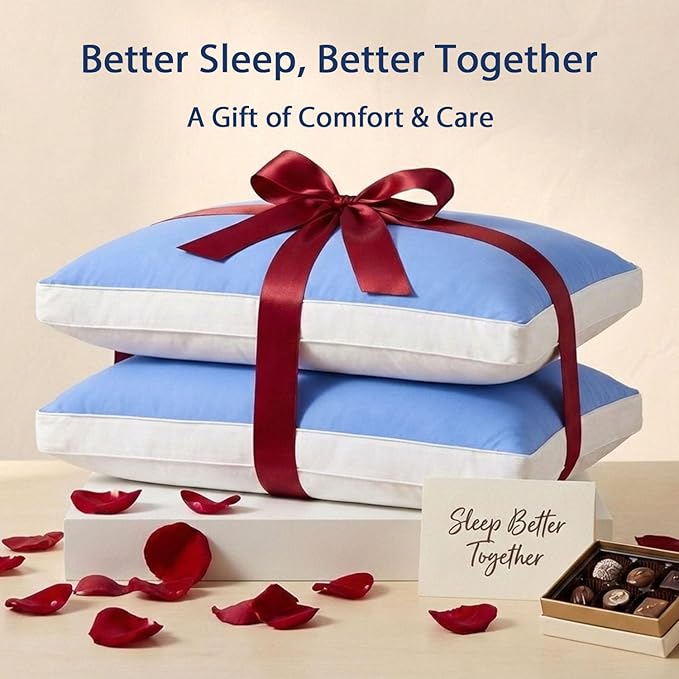 MEELUS Silky Soft Pillows Queen Size Set of 2, Luxury Hotel Down Alternative Bed Pillows 2 Pack for Side Back Stomach Sleepers, Gusseted Supportive, Machine Washable, Cooling Blue, 20" x 30"