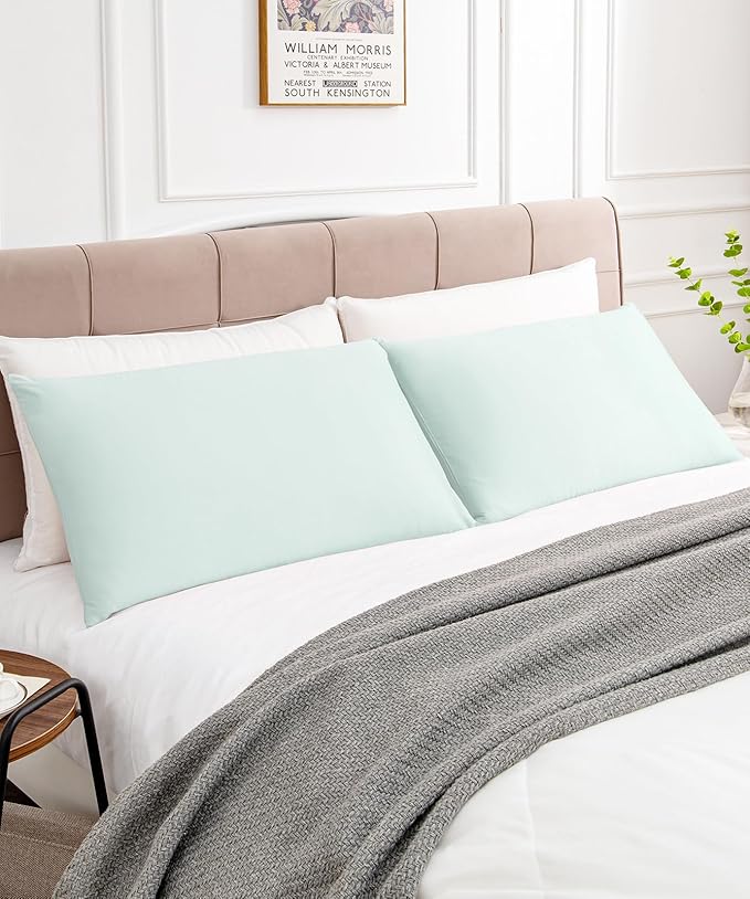 Warmstar Cotton Pillow Cases Queen Size Set of 2, 600 Thread Count Pillowcases 20x30 Inches, Soft Long Staple Cotton Pillowcases Breathable with Envelope Closure,Sky Blue