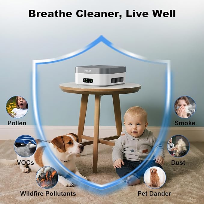 Air Purifiers for Home, H13 True HEPA Filter Captures Smoke Odor Pet Dander, Portable Quiet Car Air Purifier for RV/Desk/Bedroom/Office, Covers up to 600 Ft², Timer - 2 Filter