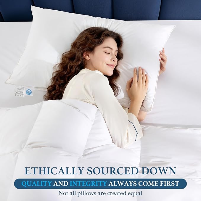 Canadian White Goose Down Pillow Standard Size- 750+ Fill Power, Soft Down Pillows for Sleeping, Fluffy Hotel Luxury Bed Pillows for Neck Pain Relief, Side Sleeper Pillow (1 Pack, 20"x26")