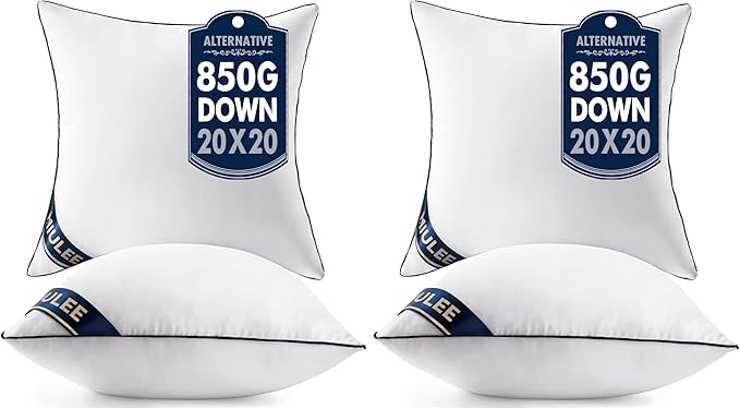MIULEE 20x20 Pillow Inserts Set of 2 Throw Pillows 20 Inch Premium Down Alternative Pillow Inserts Decorative Pillow Stuffer for Sofa, Couch (20x20 inch, Set of 2) (Pack of 2)