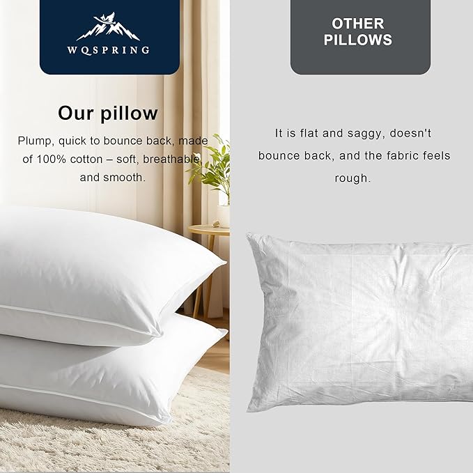Goose Down Pillow, Hotel Quality with Feather Fill, 750 Fill Power Queen Size - 2 Pack with Pillowcase for Master Bedroom, Support for Back, Side, Stomach Sleepers (Standard Size 20" x 26")