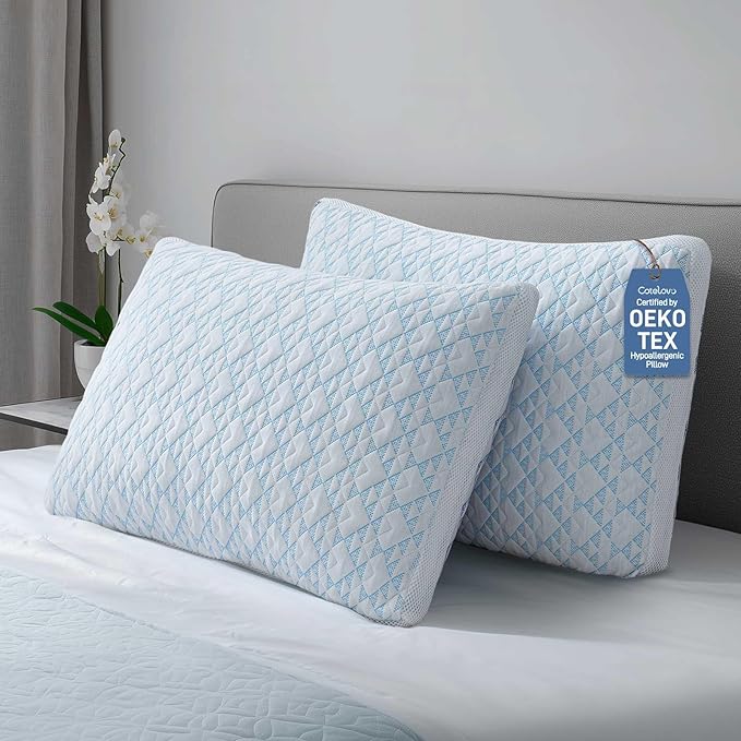 Cotelovo Shredded Memory Foam Soft Bamboo Viscose Pillows Adjustable Hypoallergenic Hotel Quality Bed Pillows for Side, Back and Stomach Sleeper, Oeko-TEX Certified Queen Size Set of 2