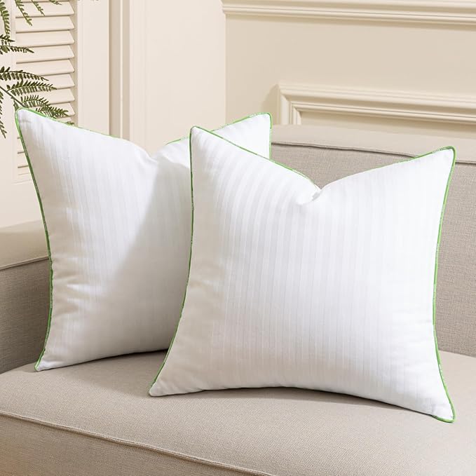 Ashler Home Deco Synthetic Down Pillow Inserts, 20x20 Down Alternative Throw Pillows Insert Sleeping Pillows with 100% Cotton Cover Decorative Pillow Stuffer for Sofa, Couch Bed(Set of 2, White)