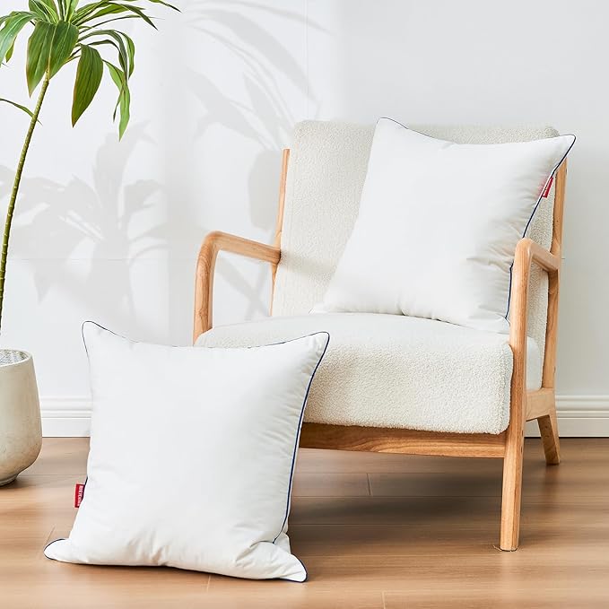 Down Pillow Inserts 20x20, 100% Goose Down Feather Throw Pillows Inserts - Ultra Plush, Decorative Pillow Insert with Soft Cotton Cover for Couch Sofa Bed Living Room White (Pack of 1)