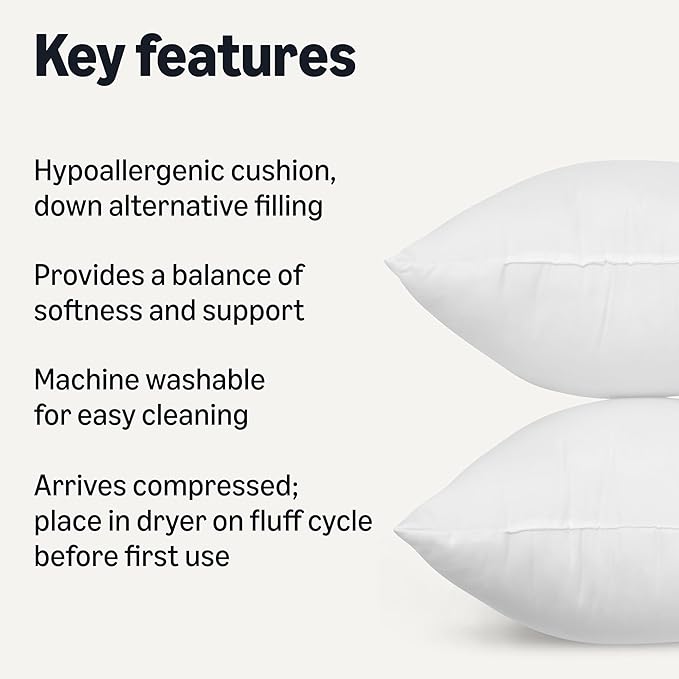 Amazon Basics Square Hypoallergenic Down Alternative Pillow Insert, Machine Washable, Softness and Support, 20 inch, 2-Pack