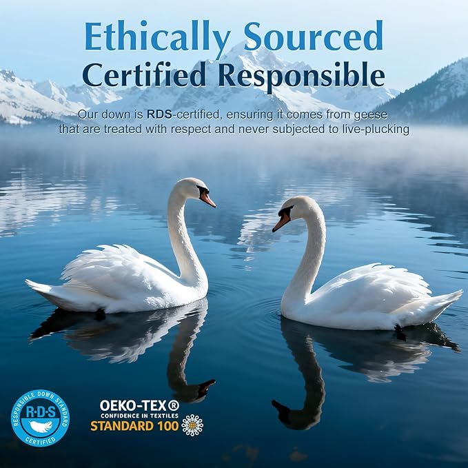 LIANLAM Goose Feather Down Pillows Queen Size Set of 2, 3-Chamber 5 Star Hotel Pillow for Deep Sleep,Soft Bed Pillows for Neck Pain Relief, Perfect for Side Sleeper, 100% Cotton Shell(2 Pack,20"x30")
