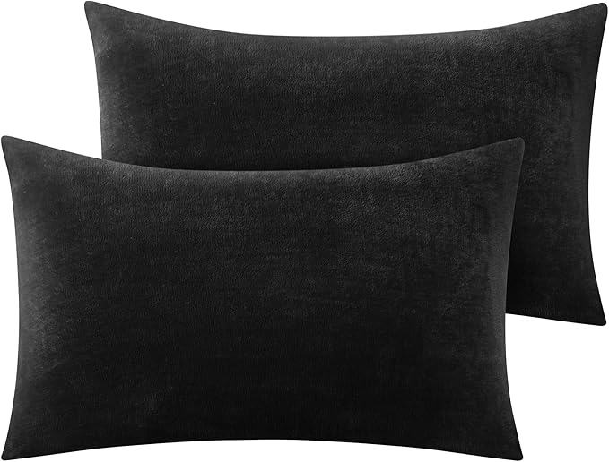 BEDELITE Flannel Pillow Cases Queen Size Set of 2, Super Soft Fleece Pillowcases with Zipper for Bedroom, Sofa, Couch,Luxury Cozy Fuzzy Velvet Pillow Shams for All Seasons(20x30 Inches,Black)