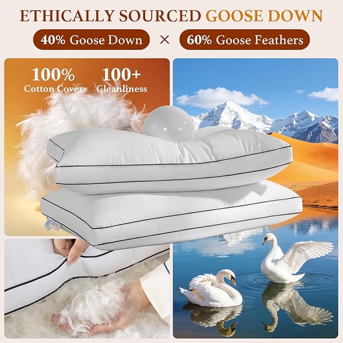 Premium Canadian Goose Down Pillow Standard Size Set of 2 Pack, 750+ Fill Power, 100% Cotton Shell, Luxury Hotel Quality Bed Feather Pillow for Side Back Stomach Sleepers(White,20" x 26")