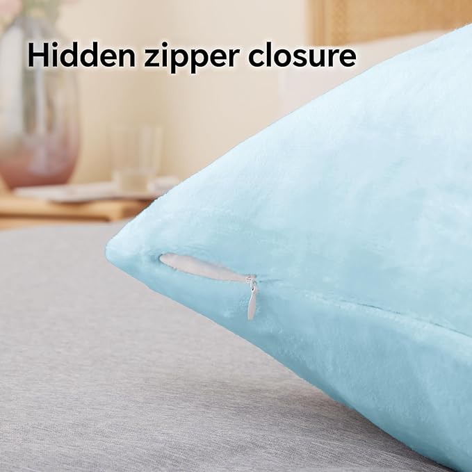 BEDELITE Flannel Pillow Cases Queen Size Set of 2, Super Soft Fleece Pillowcases with Zipper for Bedroom, Sofa, Couch,Luxury Cozy Fuzzy Velvet Pillow Shams for All Seasons(20x30 Inches,Blue)