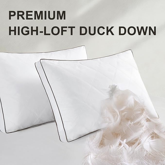 Goose Down Pillows Queen Size Set of 2 – 750 Fill Power Hotel Quality, Ultra Soft Yet Supportive for Side/Back/Stomach Sleepers, Breathable Cotton Cover & Oeko-TEX Certified