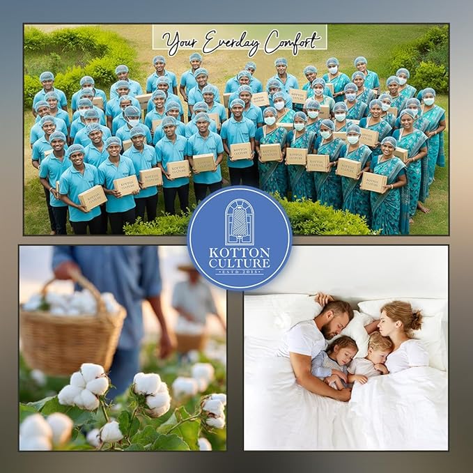 Kotton Culture 1 Pc Queen Size Duvet Cover Only -100% Egyptian Cotton 600 TC Ultra Soft Premium Durable Comforter Cover Zipper Closure & Corner Ties (Night's Shadow, Queen/Full 90" X 90")