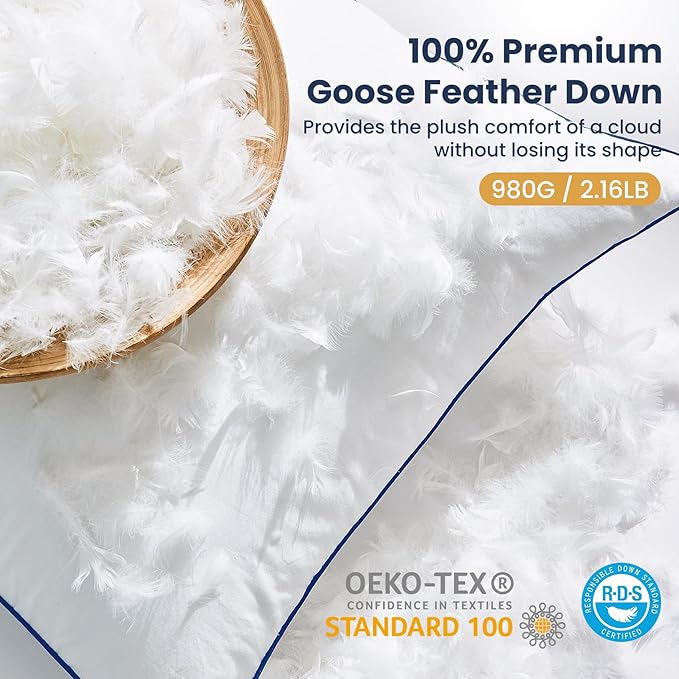 Down Pillow Inserts 20x20, 100% Goose Down Feather Throw Pillows Inserts - Ultra Plush, Decorative Pillow Insert with Soft Cotton Cover for Couch Sofa Bed Living Room White (Pack of 1)