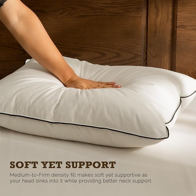 BPC Goose Feather Down Pillows Queen Size Set of 2, Luxury Hotel Pillows with 100% Organic Cotton Cover, Bed Pillow for Medium Firm Support & Cloud-Like Comfort, 20"x30"