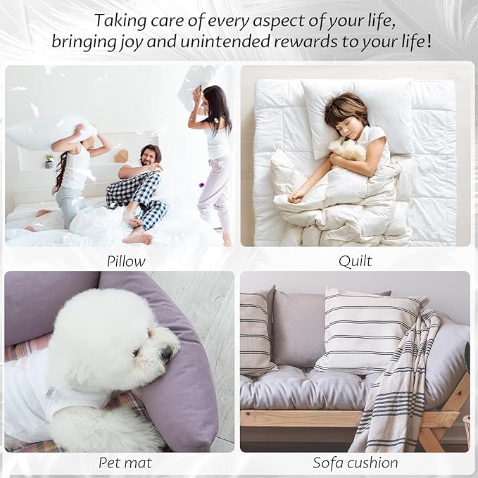 MOOX Down Feathers Pillow Stuffing Filling for DIY Projects Premium Natural 5/95 Goose Feather Down Soft Fluffy Perfect for Pillow Cushions Bedding Pillow Couch Dog Bed Upholstery Crafts (1.0, Pounds)