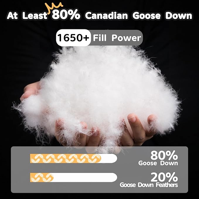 Canadian Goose Down Pillows Queen Size Set of 2,80% Goose Down and 20% Goose Feathers Goose Feathers,1650+ Fill Power White Down Pillow with 800 Thread Count Cotton Shell (White 20"x30" 2 Pack)