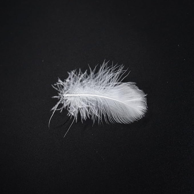 MOOX Down Feathers Pillow Stuffing Filling for DIY Projects Premium Natural 5/95 Goose Feather Down Soft Fluffy Perfect for Pillow Cushions Bedding Pillow Couch Dog Bed Upholstery Crafts (8.0, Pounds)