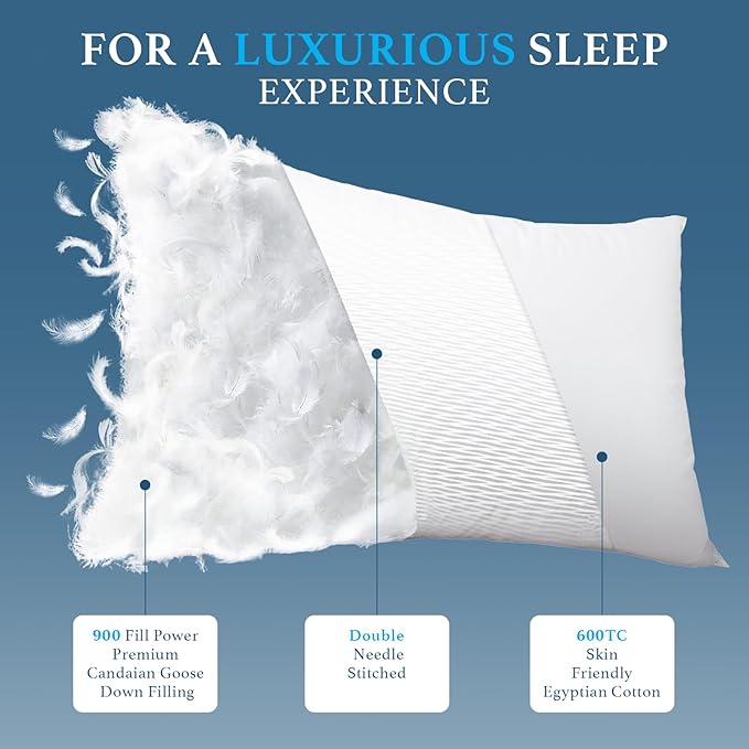 Canadian White Goose Down Pillows Queen Size Set of 2-900+ Fill Power, Soft Down Pillow for Sleeping, Fluffy Hotel Luxury Bed Pillows for Neck Pain Relief, Side Sleeper Pillow - 20"x30"