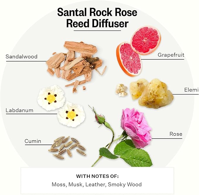 Apotheke Luxury Scented Reed Diffuser for Home, Santal Rock Rose - 6.7 Fl Oz Essential Oil Aromatherapy - 10 Rattan Scent Sticks Room Diffuser - Long-Lasting Fragrance for Bedroom, Home, Bathroom