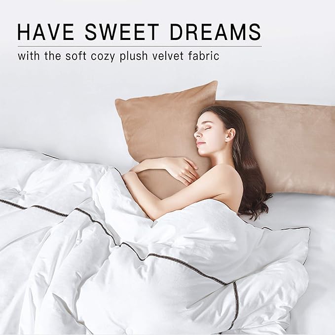 StangH Soft Velvet Pillowcase Bed Pillow Cover for Hair and Skin, Queen Size (Blush Beige, 20 x 30 inches) Luxury Warm Pillow Cover with Hidden Zipper Set of 2