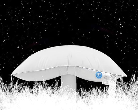 Canadian Goose Down Pillows Queen Size 80% Goose Down and 20% Goose Feathers,1650+ Fill Power White Down Pillow with 800 Thread Count Cotton Shell,Ultra Comfort Bed Pillows(White 20"x30" 1 Pack)