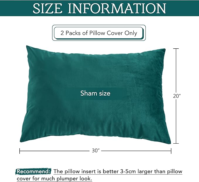 StangH Bed Pillow Pillowcase Thick Soft Velvet Fabric Zippered Pillow Covers for Bed/Couch/Sofa Decorative, Queen Size (Teal, 20 x 30 inches) Set of 2, Warm Cozy Protector