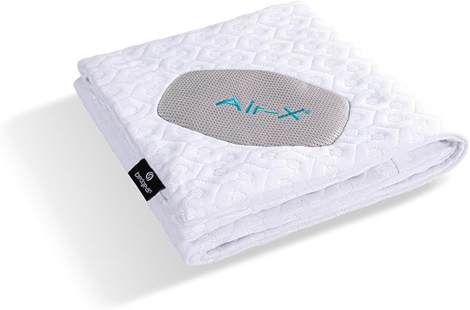 Bedgear Dri-Tec Performance Pillow Protector, Moisture-Wicking Cooling Pillow Cover with Airflow Technology | Breathable, Protective Pillowcase with Zipper | Machine Washable Pillow Protector, King