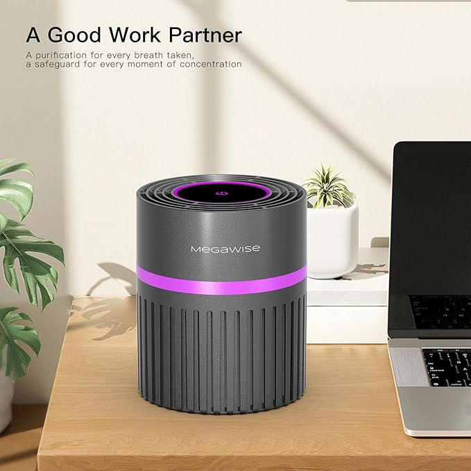 MEGAWISE Portable Air Purifier, H13 True HEPA 3-in-1 Filter, 99.97% 0.3 Micron Filtration, Dust Smoke Pet Dander, Ozone Free, Ultra-Quiet 24dB, Small Tabletop Air Cleaner for Bedroom Home Office