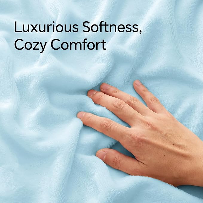 BEDELITE Flannel Pillow Cases Queen Size Set of 2, Super Soft Fleece Pillowcases with Zipper for Bedroom, Sofa, Couch,Luxury Cozy Fuzzy Velvet Pillow Shams for All Seasons(20x30 Inches,Blue)