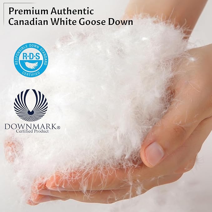 Down and Feathers Pillows King Size - 2 Pack, Premium Soft Pillow Authentic Canadian White Goose Down, 100% Cotton Cover for Comfort Luxury Experience - Includes Pillow Case