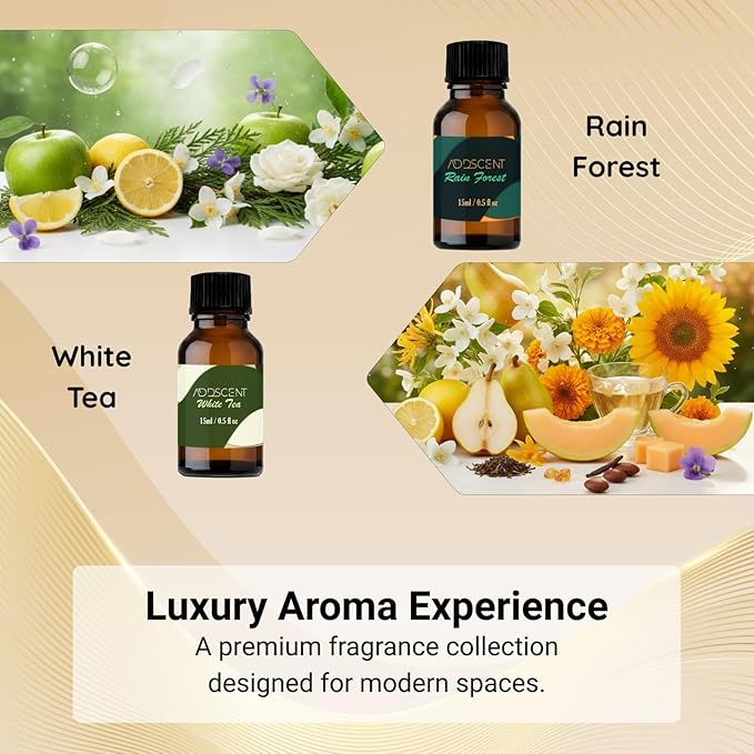 Luxury Hotel Collection Aroma Oils, White Tea Rain Forest Ocean Haven Blossom Breeze Hotel Signature Scents, 5 x 15ml Bottles for Home Office Spa Ambience, Premium Oil Diffuser Set