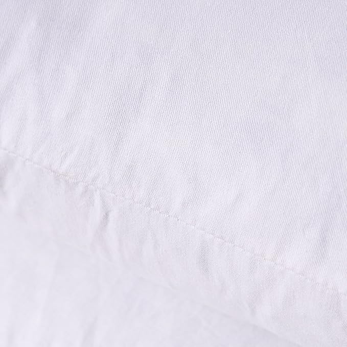 Set of 2, 95% Feather 5% Down Square Decorative Throw Pillow Insert, Cotton Cover, 16x16 Inch