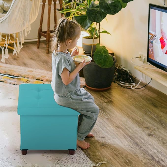 Dorriss Storage Ottoman - Foldable Footstool with Storage, Square Tray, Coffee Table Lid, Light Green