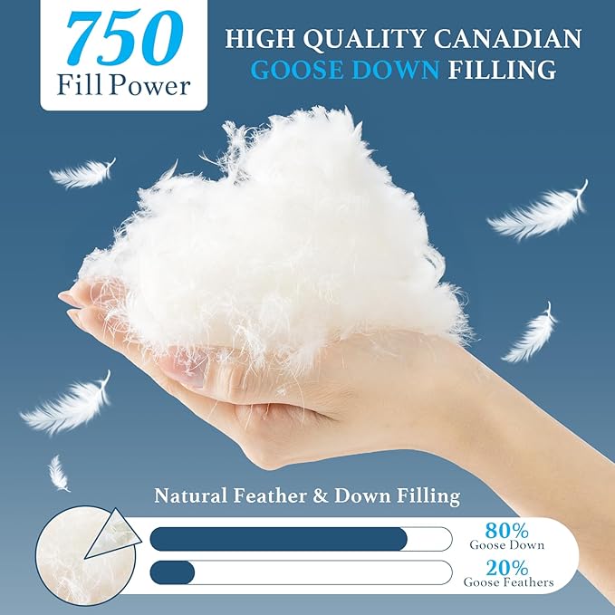 Canadian White Goose Down Pillows Standard Size Set of 2-750+ Fill Power, Soft Down Pillow for Sleeping, Fluffy Hotel Luxury Bed Pillows for Neck Pain Relief, Side Sleeper Pillow - 20"x26"