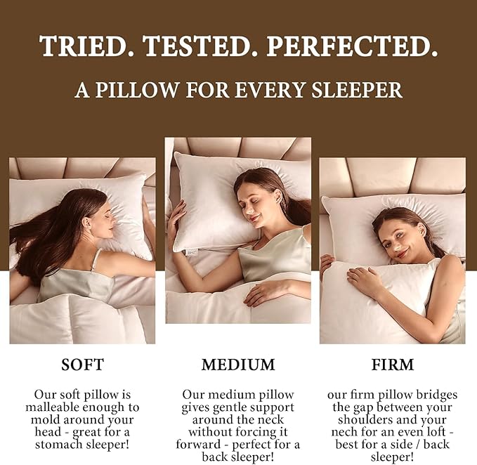 BHZ Down Feather Standard/Queen Pillows Set of 2 Pack, Luxury Hotel Collection Goose Bed Pillows for Sleeping Firm Soft Support for Side, Back, Stomach Sleepers for College Dorm Essentials, White