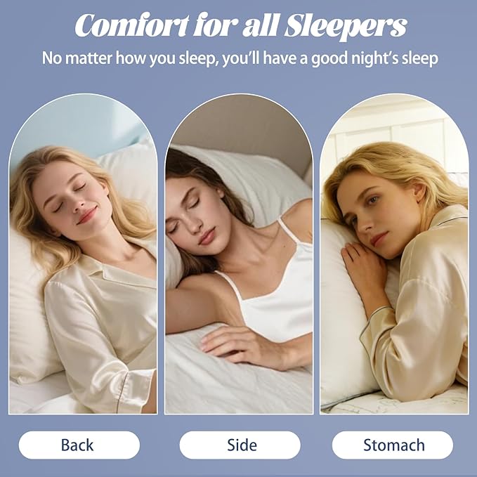 Luxury Goose Feather Down Pillow Standard Size Set of 2,Premium 3-Chamber Bed Pillows for Deep Sleep,900+ Fill Power,400 Count Cotton Shell,Hotel Quality Pillow for Side, Back Sleepers,20" x 26"