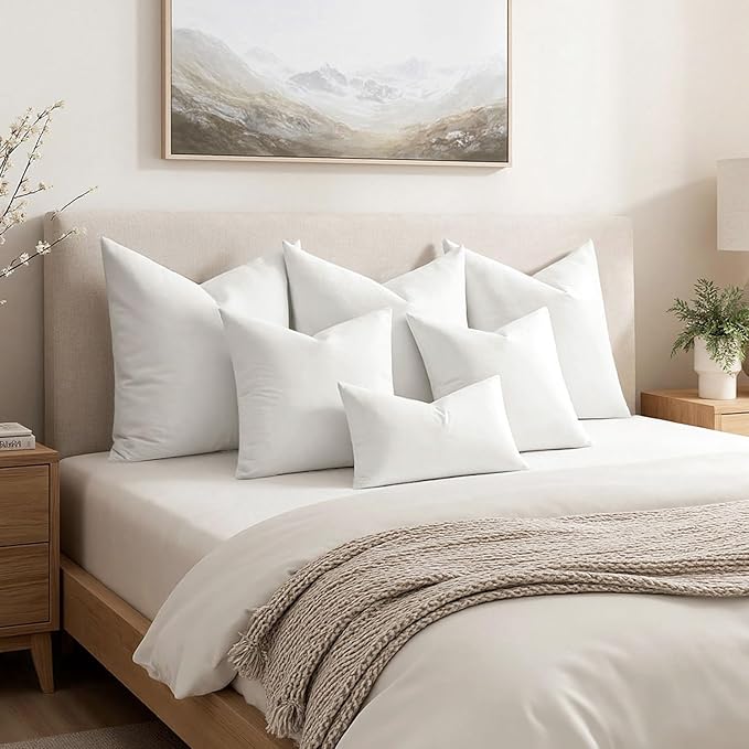 MIULEE Premium Feather and Down 22x22 Throw Pillow Insert Soft Fluffy Throw Pillow Double-Layer Cotton Fabric for Sofa Bed Couch Prevents Feather Leakage