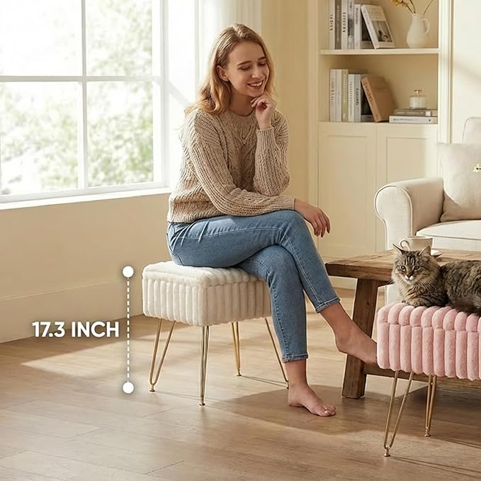 EBENCHICO Vanity Stool Chair with Storage, Faux Fur Stools for Vanity Makeup, Foot Stool Ottoman with 4 Metal Legs, Small Vanity Bench Seat Chairs for Living Room Bedroom