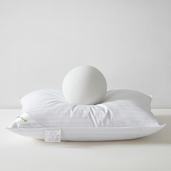 Goose Down Feather Pillows Stripe White Bed Pillow for Sleeping,100% Cotton Fabric Good for Side and Back Stomach Sleeper Queen Size 1 Pack