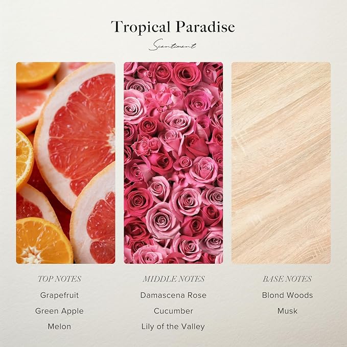 Scentiment Diffuser Oil - Tropical Paradise | Aromatherapy Fragrance Inspired by 5-Star Hotels | Luxurious Scent with Notes of Grapefruit, Green Apple, Musk – 0.68 fl oz (20 mL)