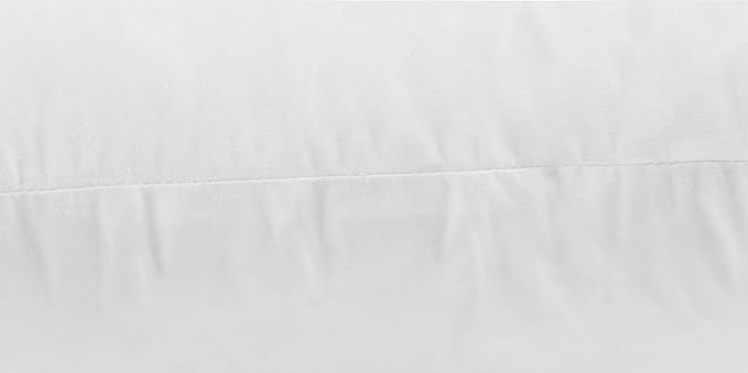 SNUG&COZY Luxury Goose Down Feather Pillow Inserts - 20x20IN, Double Layered Down-Proof Design, Ultra-Soft Cover, High Fill Weight, Pack of 2, White