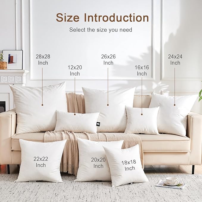 Organic Feather Down Throw Pillow Inserts (24x24 Inch, Set of 2) - 100% Cotton Shell, Filling of Feathers, Square Decorative Pillow Form Core for Living Room Couch, Sofa, and Bed