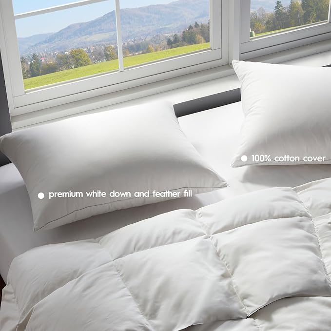 Globon Medium Firm Down Pillow Queen Size Set of 2, Premium Down and Feather Filled Bed Pillow for Sleeping, 100% Cotton Shell 430 TC 600 Fill Power, Hotel Collection Down Feather Pillow 20" x 30"