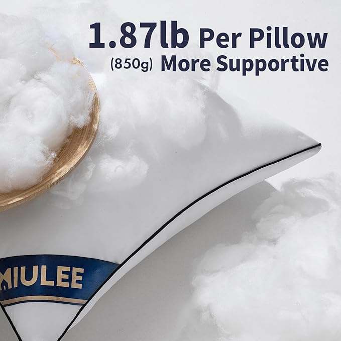 MIULEE 24x24 Pillow Insert Throw Pillow Premium Down Alternative Pillow Insert Square Decorative Pillow Stuffer for Sofa, Couch (24x24 inch)