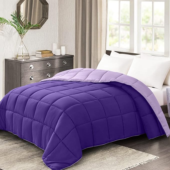 Homelike Moment Comforters Queen Size - Purple Duvet Insert Down Alternative Bed Queen Comforter, Lightweight Bedding Comforter Full Size Quilted Soft All Season Reversible Plum/Light Purple