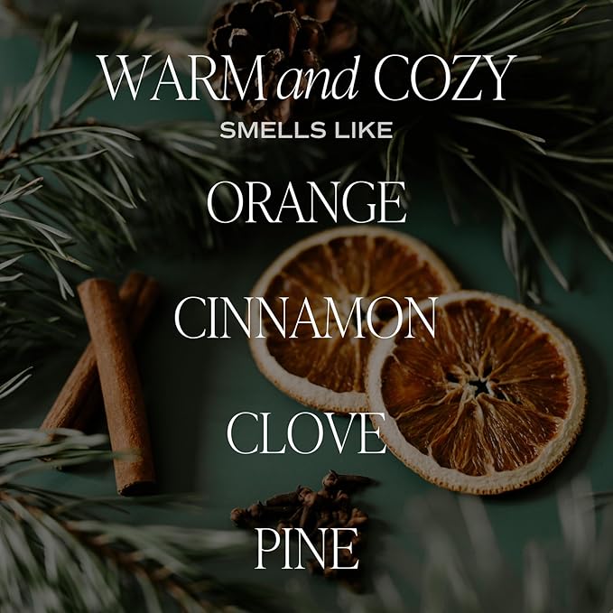 Sweet Water Decor Warm and Cozy Reed Diffuser Set - Fall and Winter Reed Diffuser Set for Home - Orange, Cinnamon, Ginger, Clove Scented Room Fragrance - Lasts 4+ Months, Made in the USA